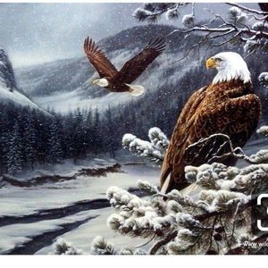 Meet your Posher, Rita